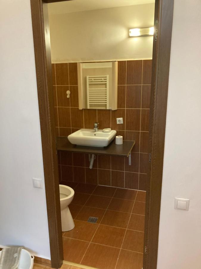 Contessa Central Studio II Cluj-Napoca Exteriör bild